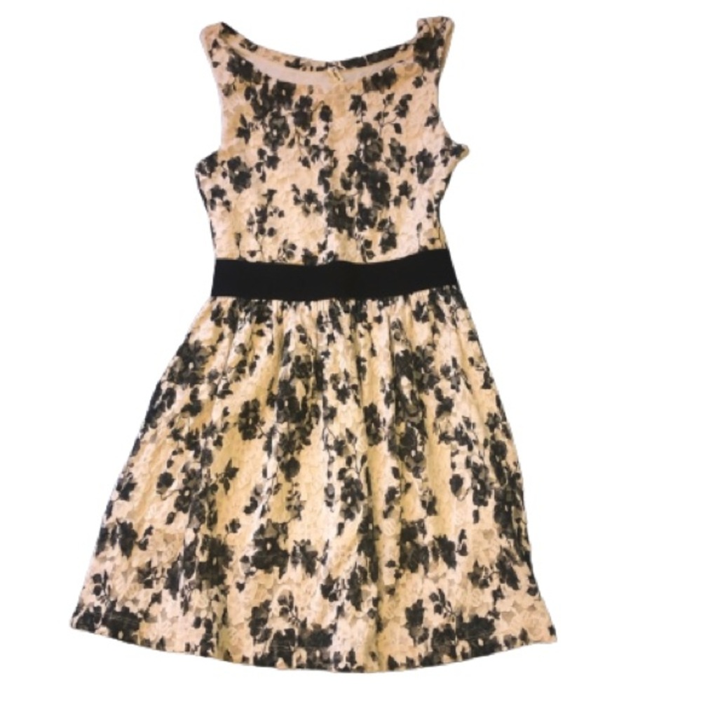 Love marks Black and Beige Lace Dress